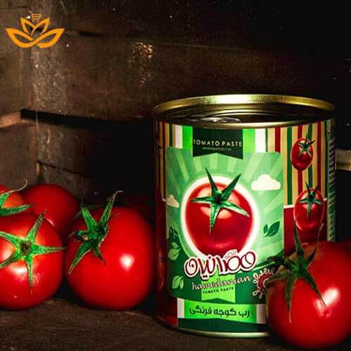 رب گوجه فرنگی همدانیان برای تمام مصارف غذایی