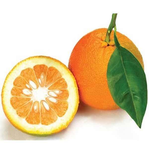 عکس شاخص،نارنج در سبد 10 کیلوگرمی