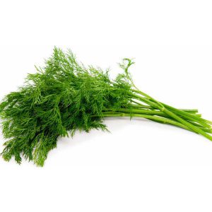 سبزی شوید منجمد در بسته بندی 5 کیلوگرمی