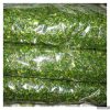 سبزی کوکو خرد شده آماده مصرف در بسته 10 کیلوگرمی01