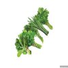 سبزی آش منجمد در بسته بندی 5 کیلوگرمی-01