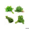سبزی آش تازه در دسته 5 کیلوگرمی01