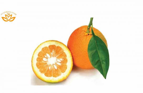 نارنج در سبد 10 کیلوگرمی