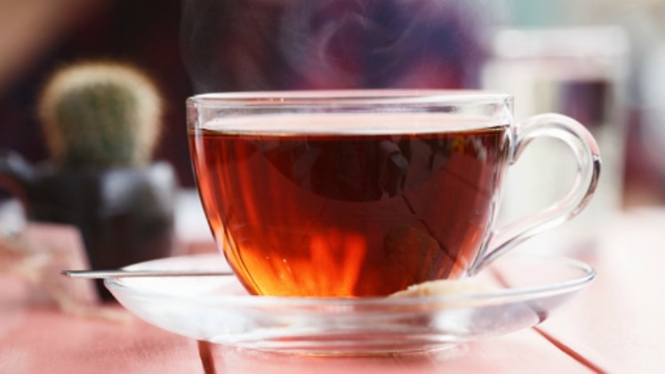 چای دوغزال ساده ۵۰۰ گرمی در کارتن 24 عددی
