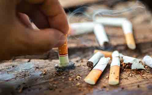 سیگار سناتور گرند ویرجینیا در بسته 10 عددی