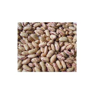 uzbek-pinto-beans