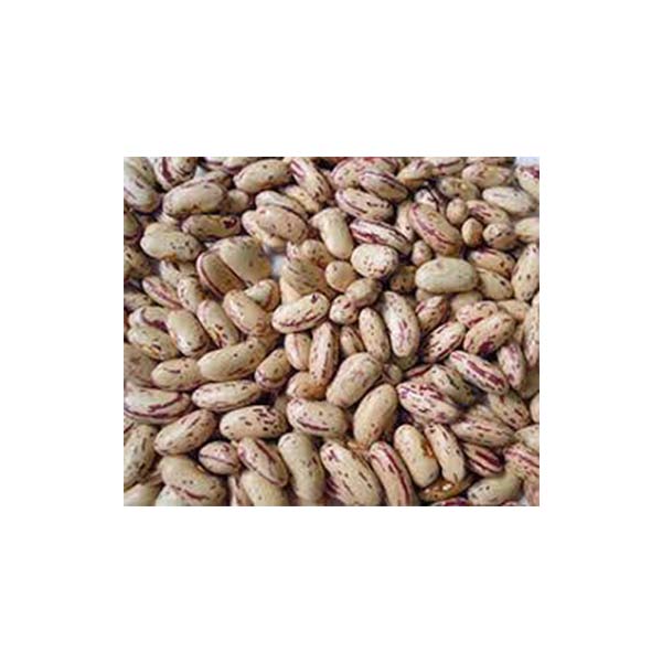 uzbek-pinto-beans