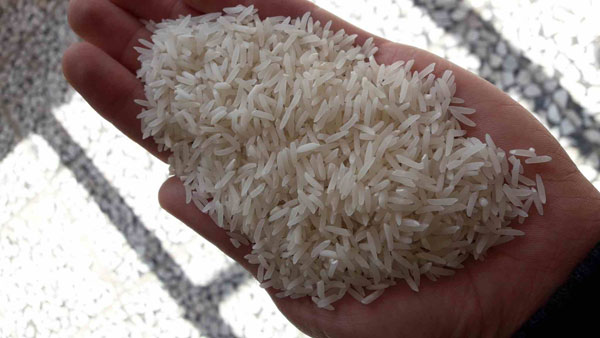 خرید برنج فجر معطر گرگان در کیسه 10 کیلوگرمی
