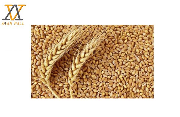 گندم در بسته 10 کیلوگرمی