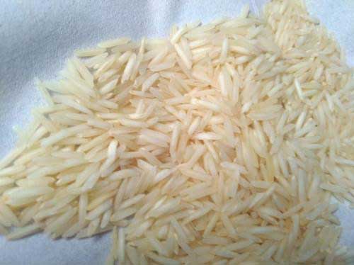 قیمت انواع برنج هندی