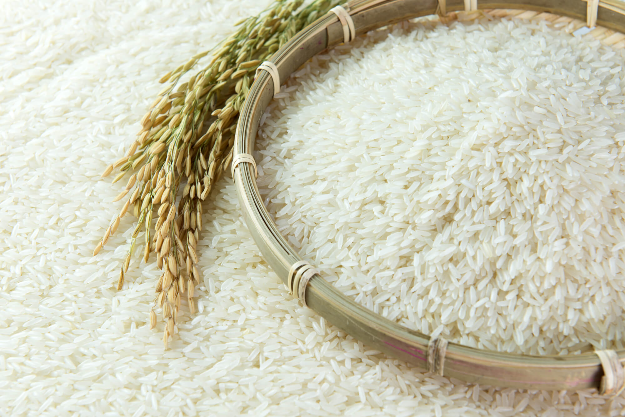 تشخیص برنج اصلی و تقلبی