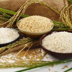 خواص انواع برنج | آیا برنج برای سلامتی مضر است؟