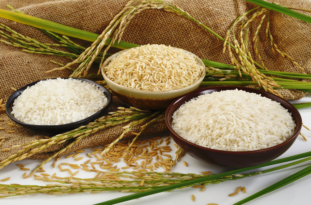 خواص انواع برنج