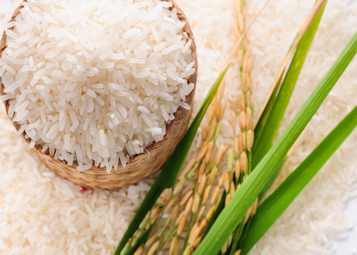 برنج تراریخته چیست؟ | آیا برنج تراریخته ضرر دارد؟